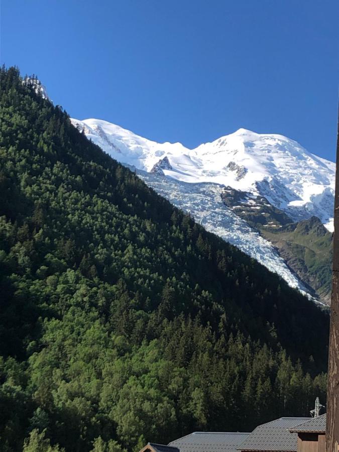 Апартаменты Aiguille Du Midi - Le Chamo'Nid Шамони Экстерьер фото